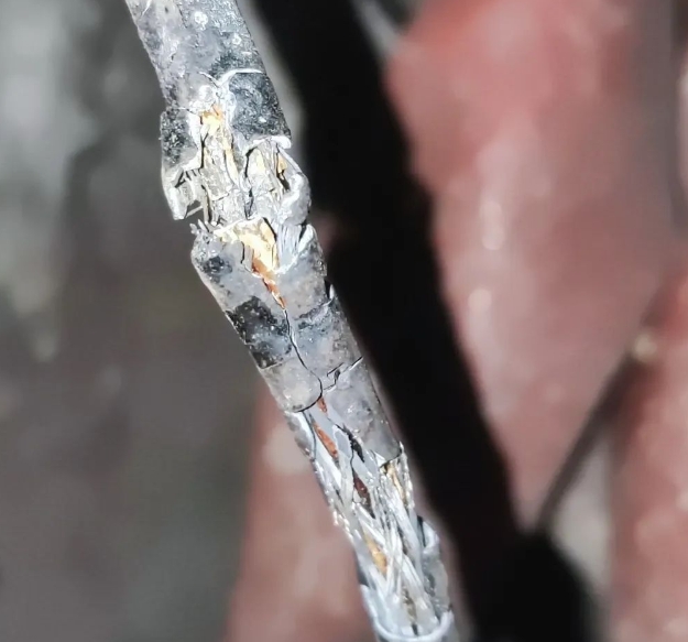 图片关键词 图片关键词